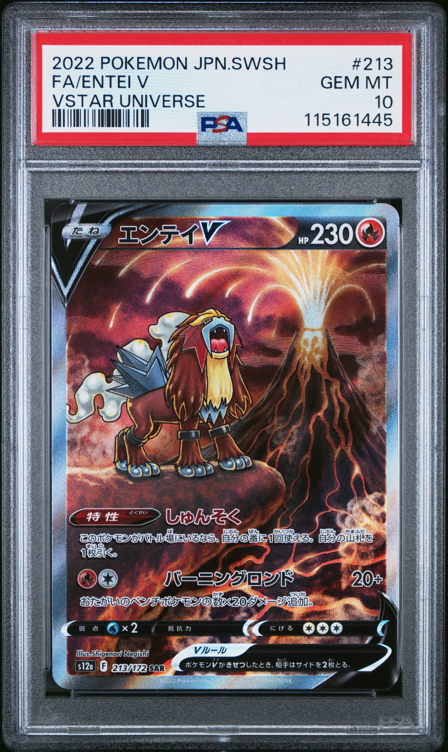 PSA 10 Entei V SAR - Vstar Universe #213